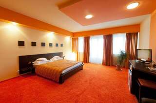 Отель Hotel Bistrita Бистрица Двухместный номер бизнес-класса с 1 кроватью-4